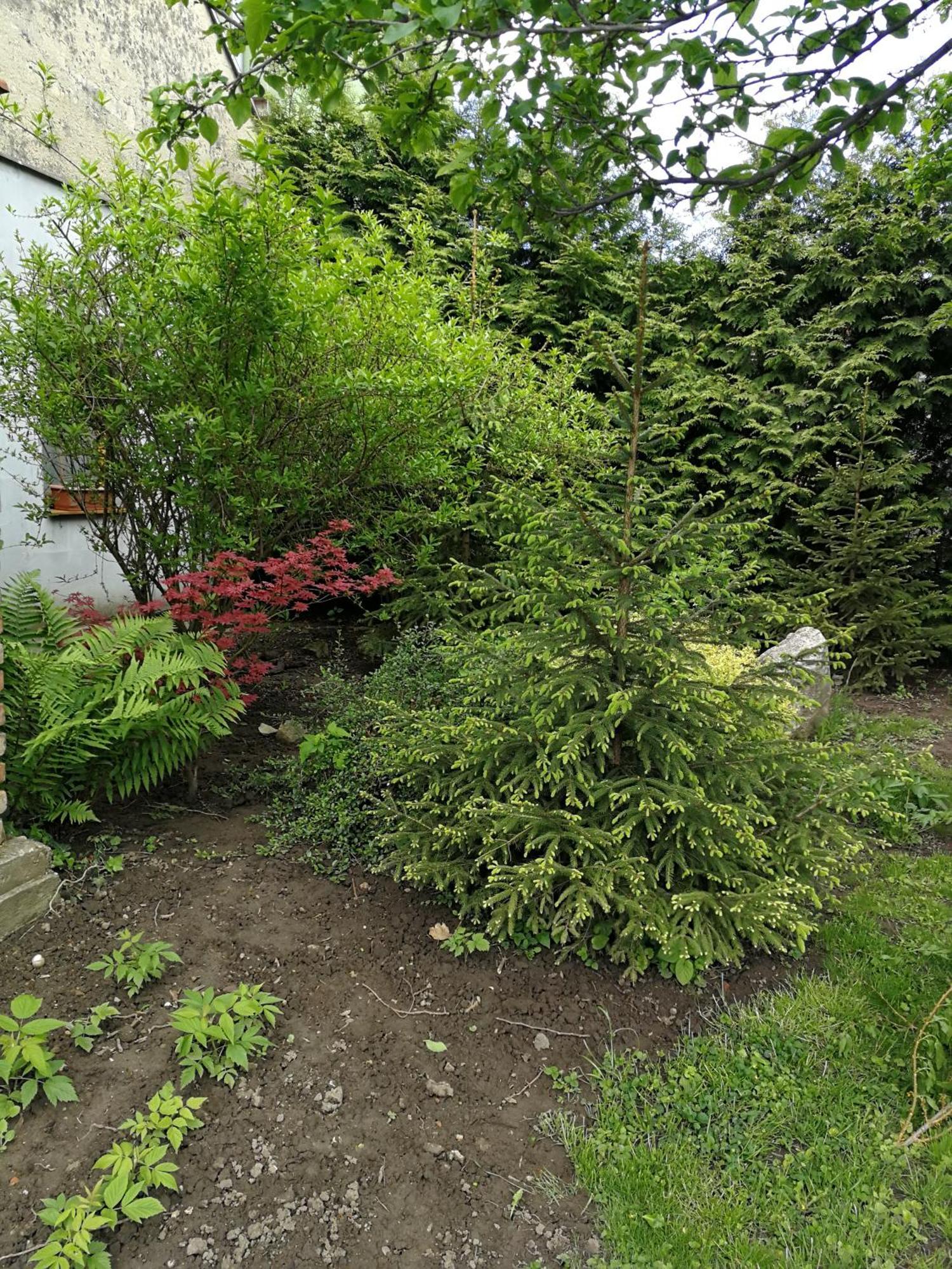 Na Domecku Apartment Boretice Exterior photo